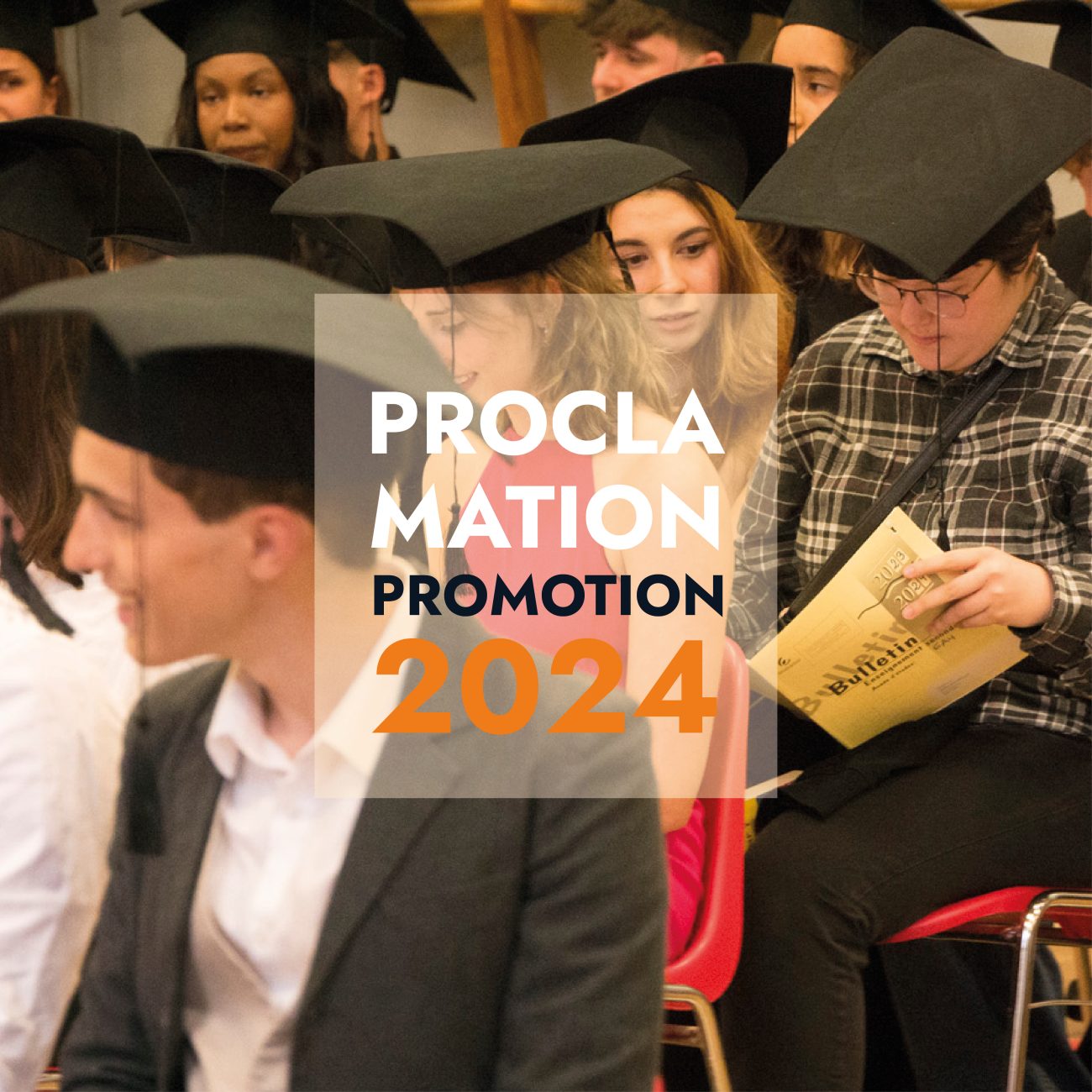 procla 2024