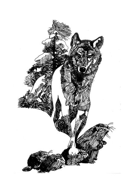 comme-toppi3