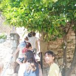 IMG_20250512_151930