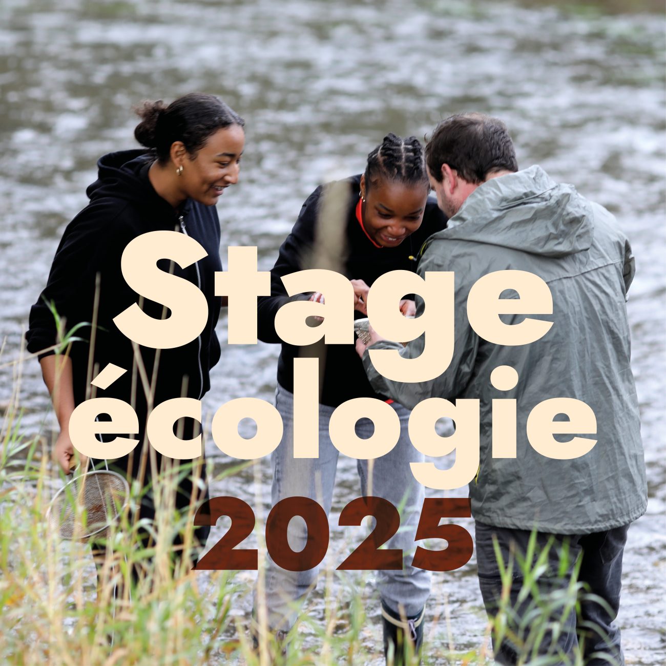 Stage ecologie
