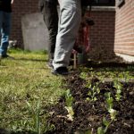 Nature-et-Foret-15-avril-(17)